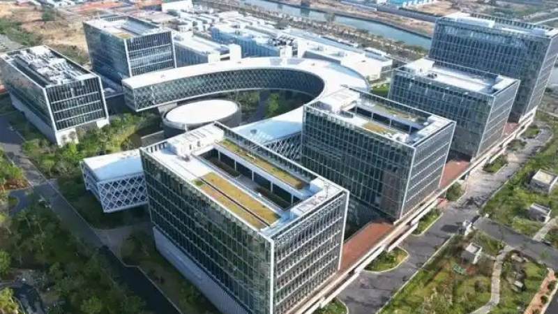 竞技宝类平台区域市场差异与用户偏好怎么理解